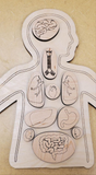 Human Body Anatomy Puzzle