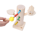 Feed the Bird Magnet Game