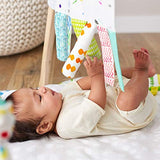 The Play Gym by Lovevery; Stage-Based Developmental Activity Gym & Play Mat for Baby to Toddler - Bippityboppityboo