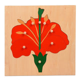 Montessori Nature Pull Puzzles