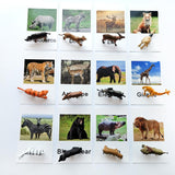 Animal Identification Activity - Bippityboppityboo