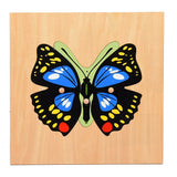 Montessori Nature Pull Puzzles