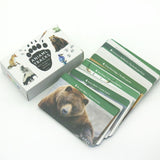 Animal Identification Activity - Bippityboppityboo