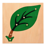 Montessori Nature Pull Puzzles