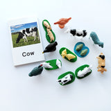 Animal Identification Activity - Bippityboppityboo