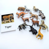 Animal Identification Activity - Bippityboppityboo