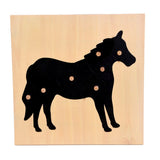 Montessori Nature Pull Puzzles