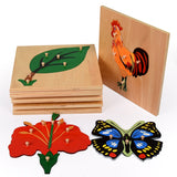 Montessori Nature Pull Puzzles