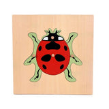 Montessori Nature Pull Puzzles