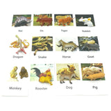 Animal Identification Activity - Bippityboppityboo