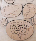 Human Body Anatomy Puzzle