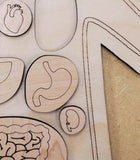 Human Body Anatomy Puzzle